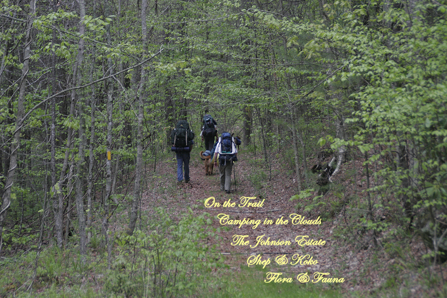 ASH Hikers in North Carolina