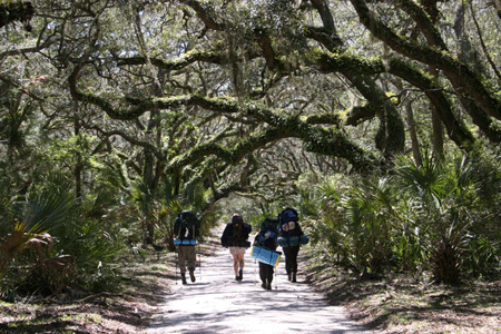 Cumberland Island